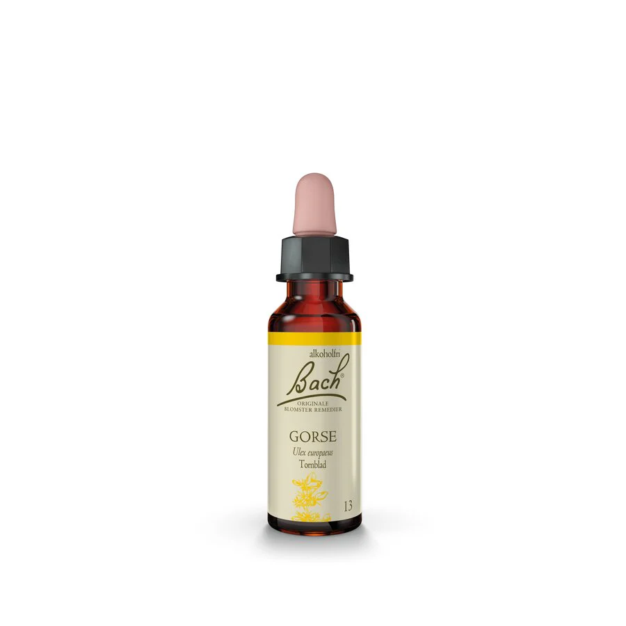 Bach remedy gorse 10 ml