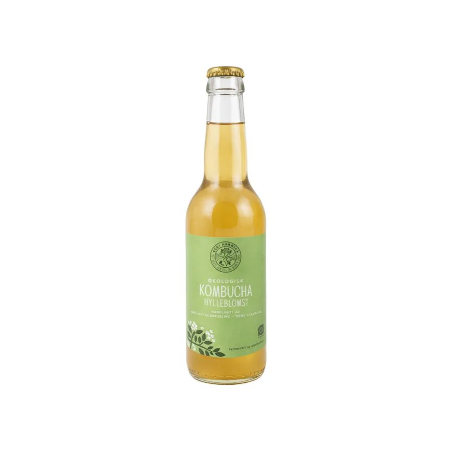 Gry Hammer kombucha hylleblomst 330 ml