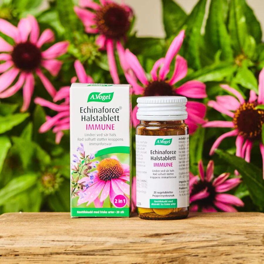 Vogel Echinaforce Immune Halstablett 20 tab - Image 2